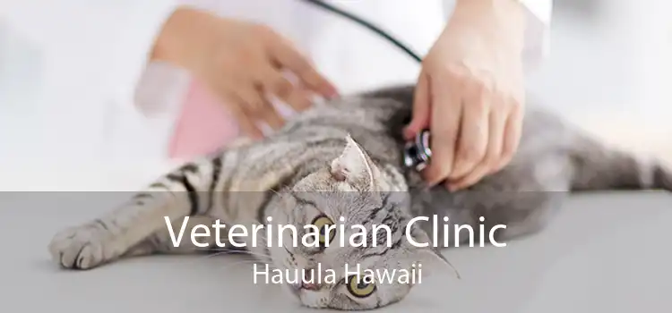 Veterinarian Clinic Hauula Hawaii
