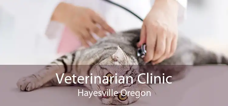 Veterinarian Clinic Hayesville Oregon