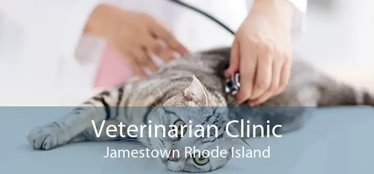 Veterinarian Clinic Jamestown Rhode Island