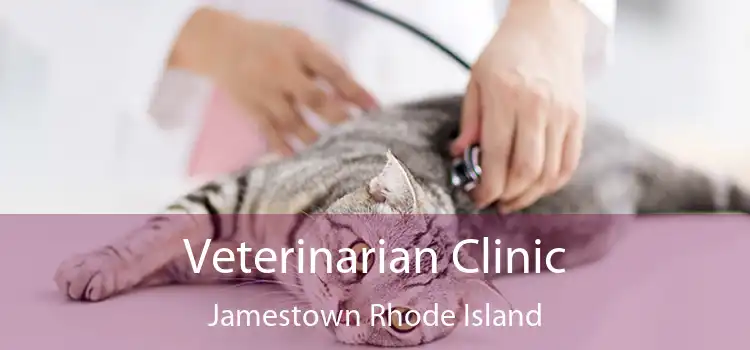 Veterinarian Clinic Jamestown Rhode Island