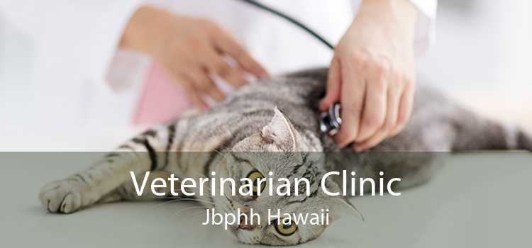 Veterinarian Clinic JBPHH Hawaii