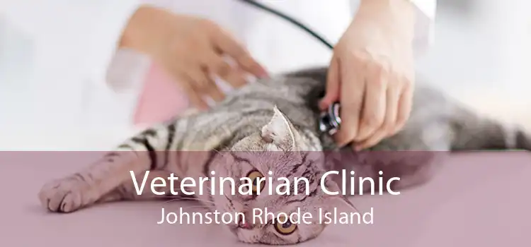 Veterinarian Clinic Johnston Rhode Island