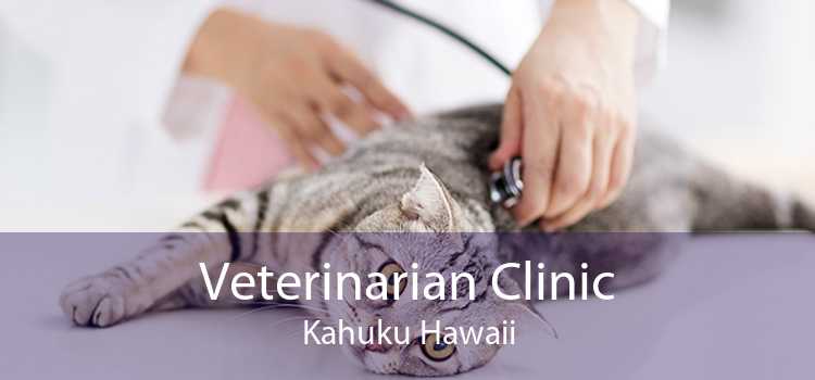 Veterinarian Clinic Kahuku Hawaii