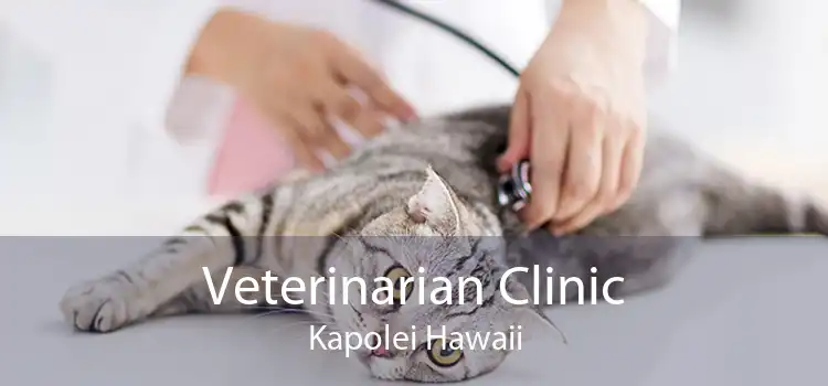 Veterinarian Clinic Kapolei Hawaii