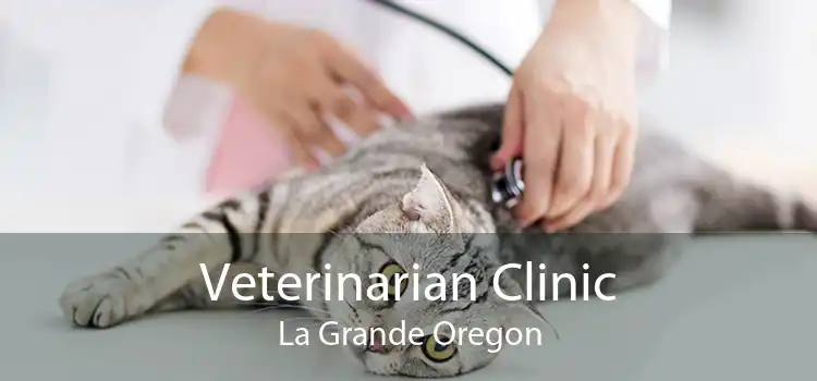 Veterinarian Clinic La Grande Oregon