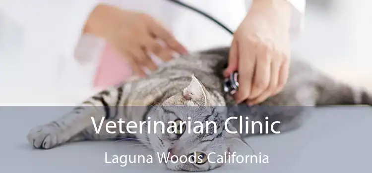 Veterinarian Clinic Laguna Woods California