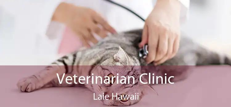 Veterinarian Clinic Laie Hawaii