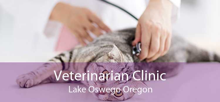Veterinarian Clinic Lake Oswego Oregon