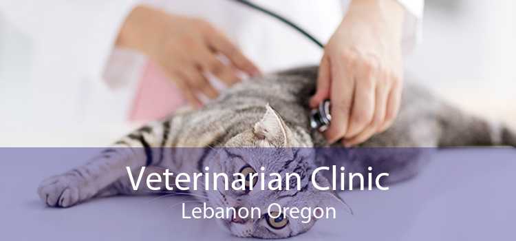 Veterinarian Clinic Lebanon Oregon