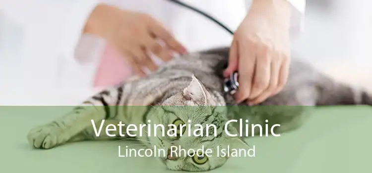Veterinarian Clinic Lincoln Rhode Island