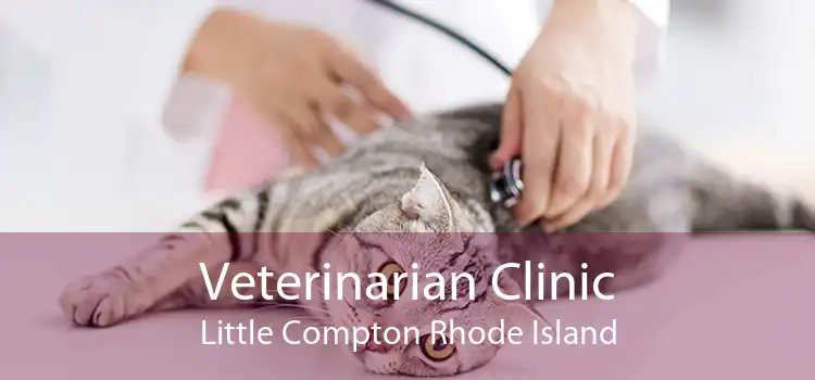 Veterinarian Clinic Little Compton Rhode Island