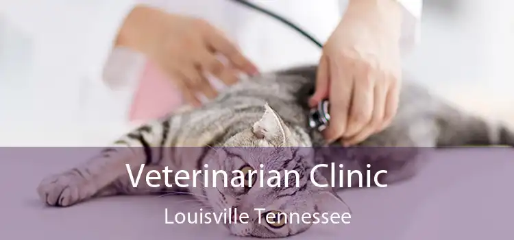 Veterinarian Clinic Louisville Tennessee