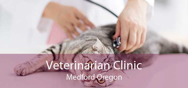 Veterinarian Clinic Medford Oregon