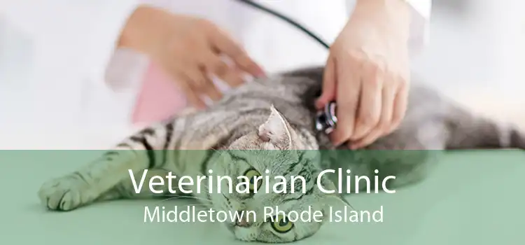 Veterinarian Clinic Middletown Rhode Island