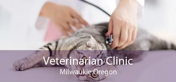Veterinarian Clinic Milwaukie Oregon
