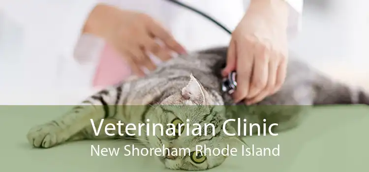 Veterinarian Clinic New Shoreham Rhode Island