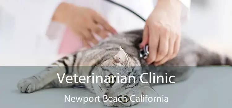 Veterinarian Clinic Newport Beach California