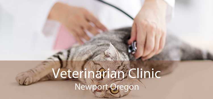 Veterinarian Clinic Newport Oregon