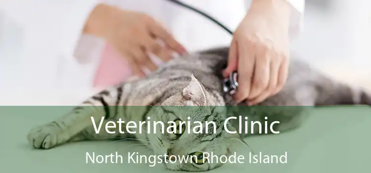 Veterinarian Clinic North Kingstown Rhode Island