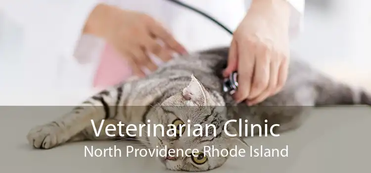 Veterinarian Clinic North Providence Rhode Island