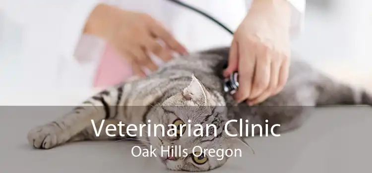 Veterinarian Clinic Oak Hills Oregon