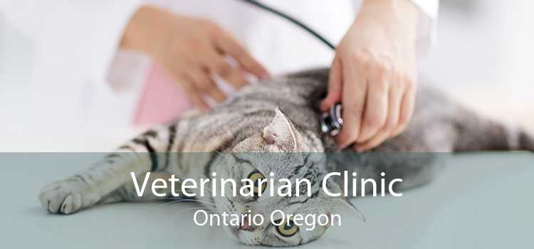 Veterinarian Clinic Ontario Oregon