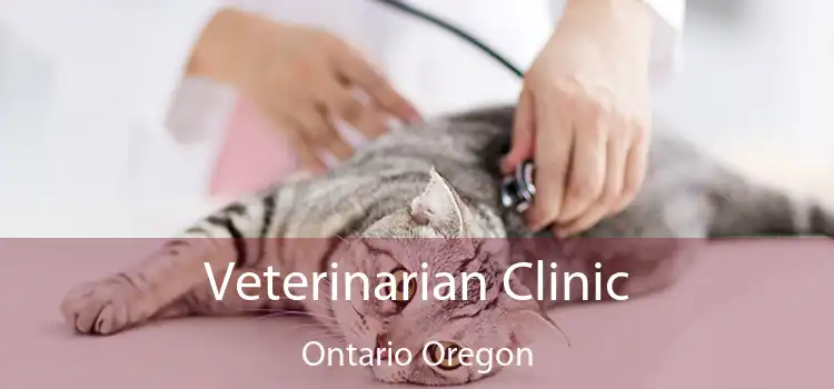 Veterinarian Clinic Ontario Oregon