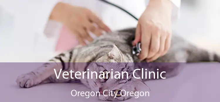 Veterinarian Clinic Oregon City Oregon