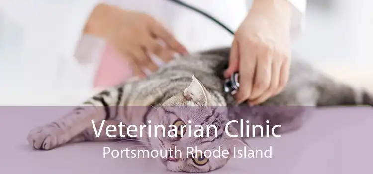 Veterinarian Clinic Portsmouth Rhode Island