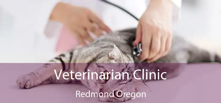 Veterinarian Clinic Redmond Oregon