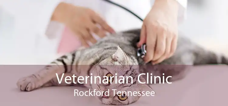 Veterinarian Clinic Rockford Tennessee