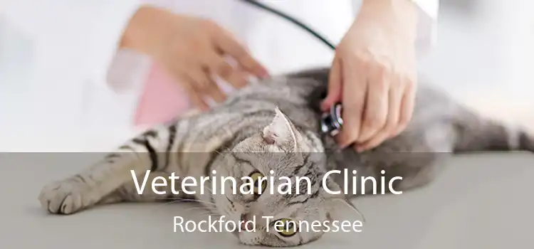 Veterinarian Clinic Rockford Tennessee