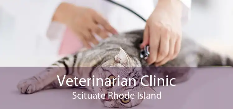 Veterinarian Clinic Scituate Rhode Island