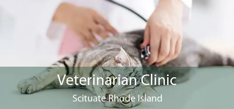 Veterinarian Clinic Scituate Rhode Island