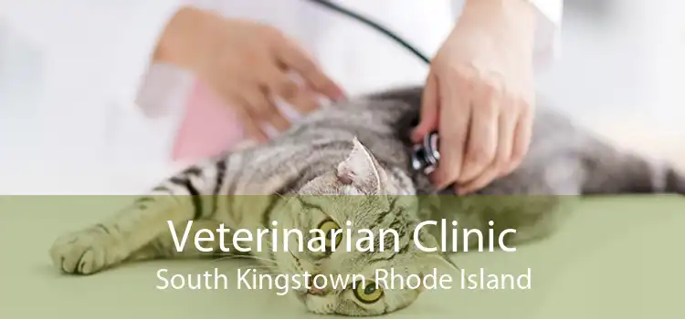 Veterinarian Clinic South Kingstown Rhode Island