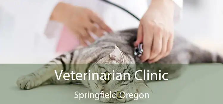 Veterinarian Clinic Springfield Oregon