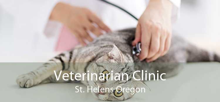 Veterinarian Clinic St. Helens Oregon