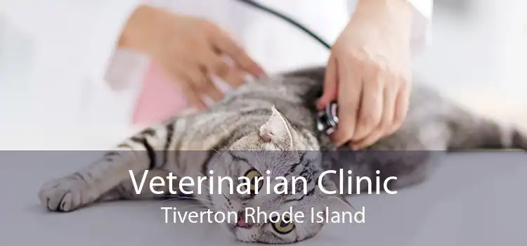 Veterinarian Clinic Tiverton Rhode Island