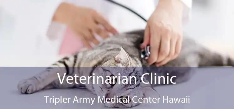 Veterinarian Clinic Tripler Army Medical Center Hawaii