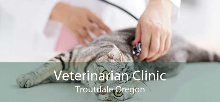Veterinarian Clinic Troutdale Oregon