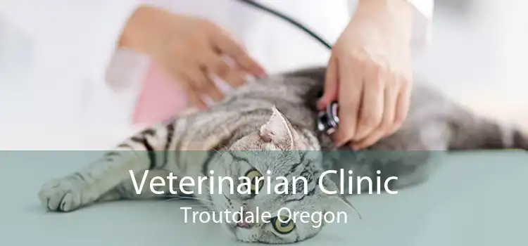 Veterinarian Clinic Troutdale Oregon