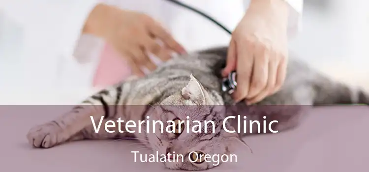 Veterinarian Clinic Tualatin Oregon