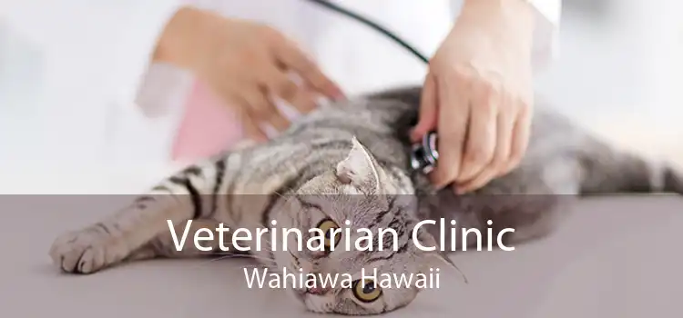 Veterinarian Clinic Wahiawa Hawaii