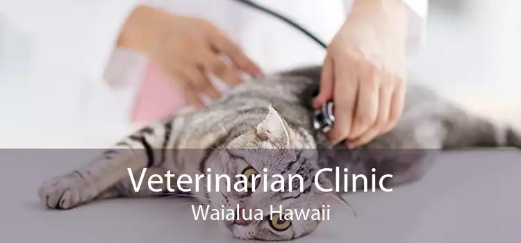 Veterinarian Clinic Waialua Hawaii