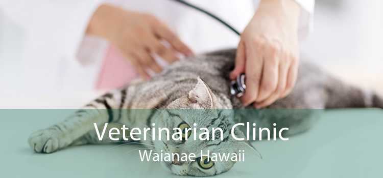 Veterinarian Clinic Waianae Hawaii