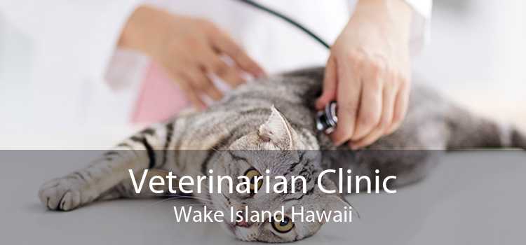 Veterinarian Clinic Wake Island Hawaii