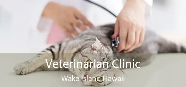 Veterinarian Clinic Wake Island Hawaii