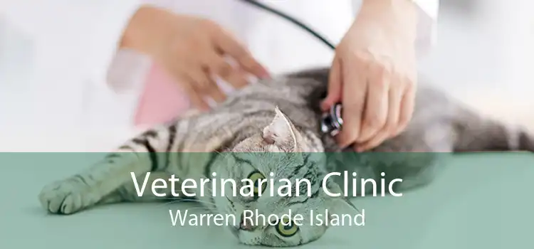 Veterinarian Clinic Warren Rhode Island