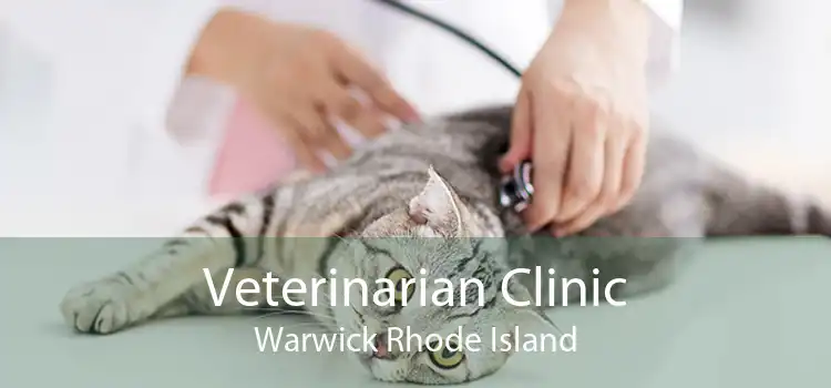 Veterinarian Clinic Warwick Rhode Island