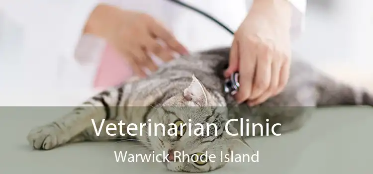 Veterinarian Clinic Warwick Rhode Island